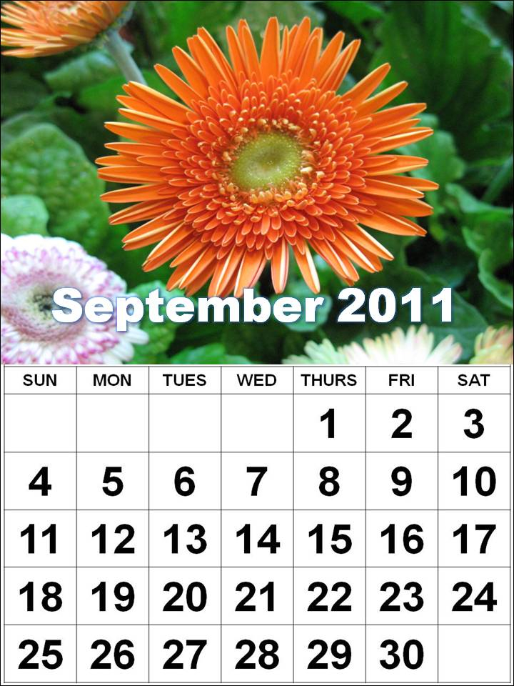 Cwaux 2011 Calendar With Week Numbers Uk - 2011 Calendar With Week Numbers